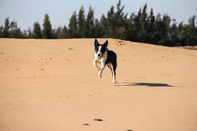 《GT赛车7》确定2022年3月4日同步登陆PS4和PS5